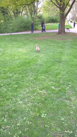 Ludwigsburg-Esslingen